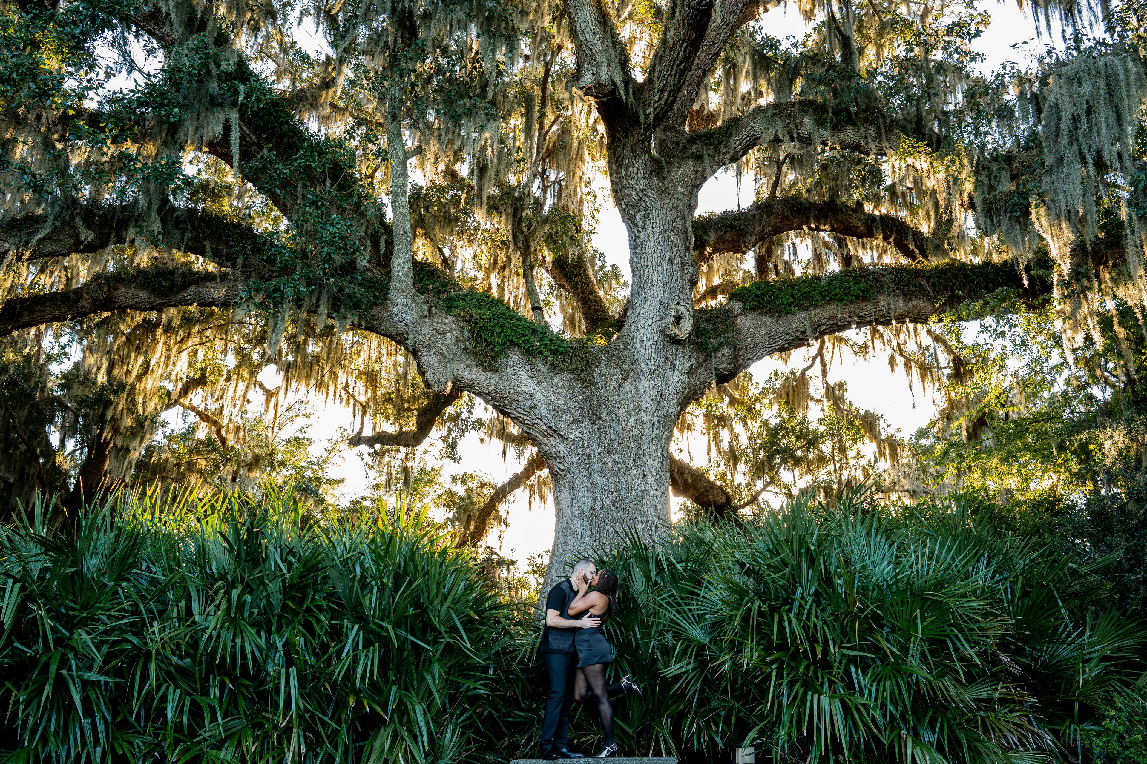 The Perfect Proposal Spot – Airlie Gardens | Wilmington, NC Photographer
